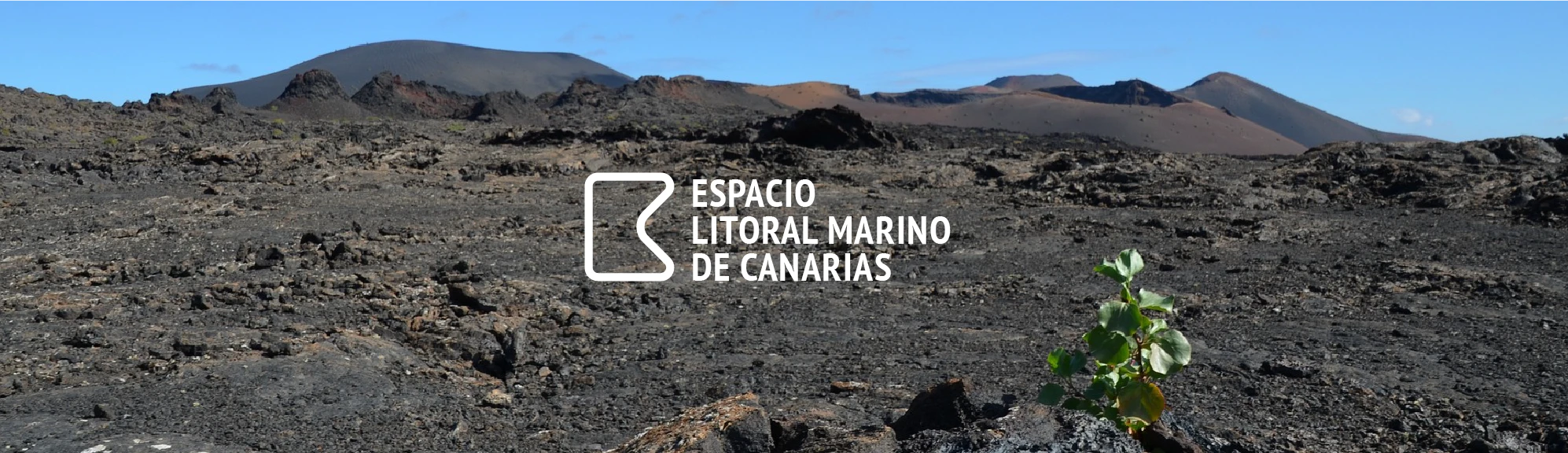 inicio 3 foro costas canarias 3
