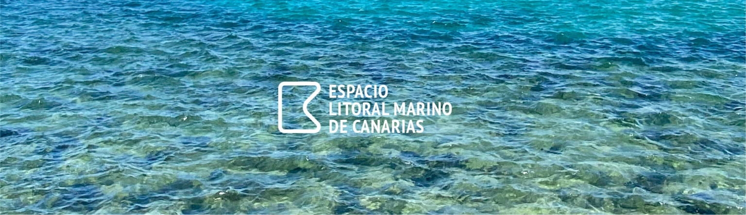 inicio 4 foro costas canarias 4